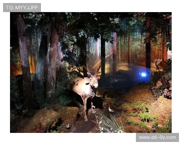 深入走近内蒙古足球博物馆的文化魅力与传承发展历程探秘全景解析